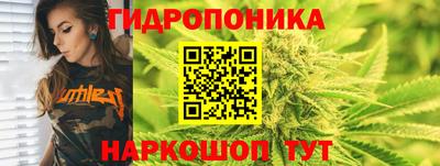 spice Кинель