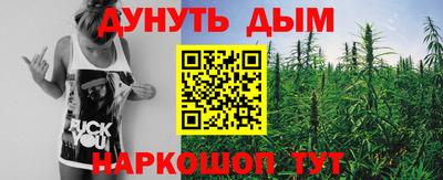spice Кинель