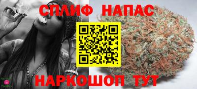 spice Кинель