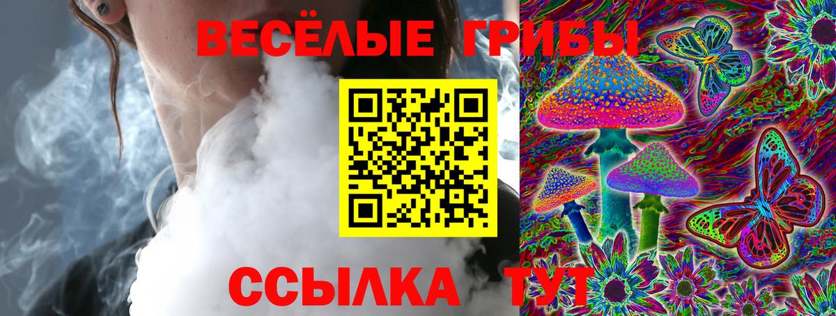 Коряжма  Галлюциногенные грибы Magic Shrooms  Вход с VPN 