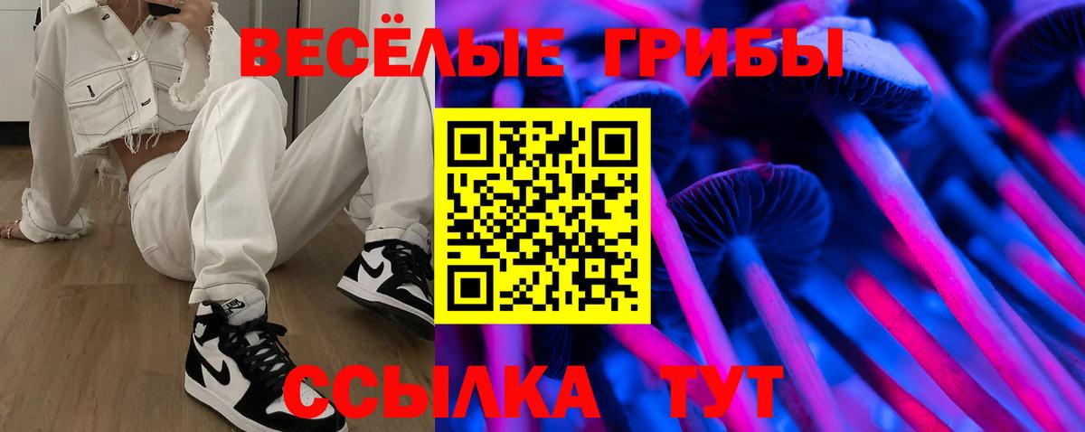 Галлюциногенные грибы прущие грибы Коряжма