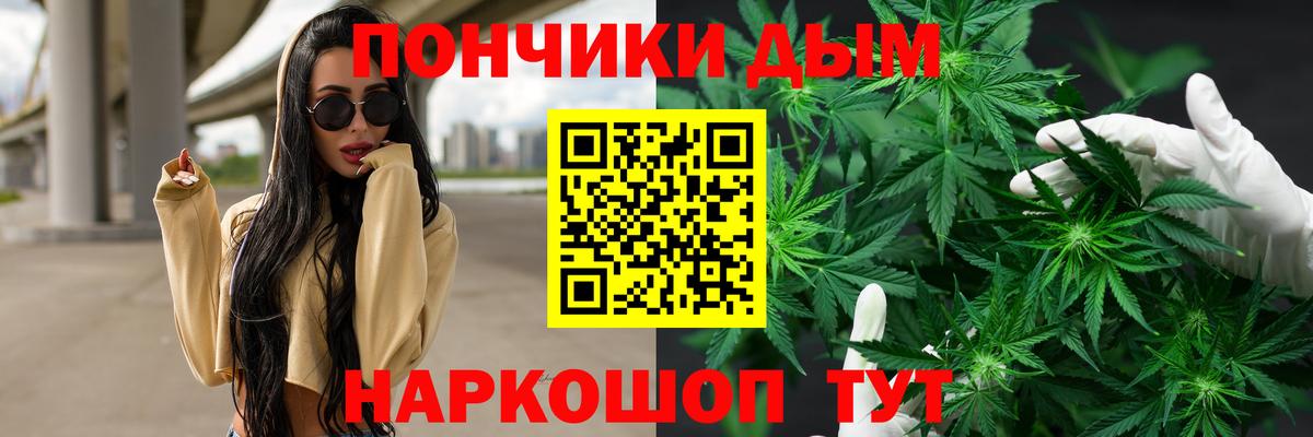 Канабис семена Коряжма